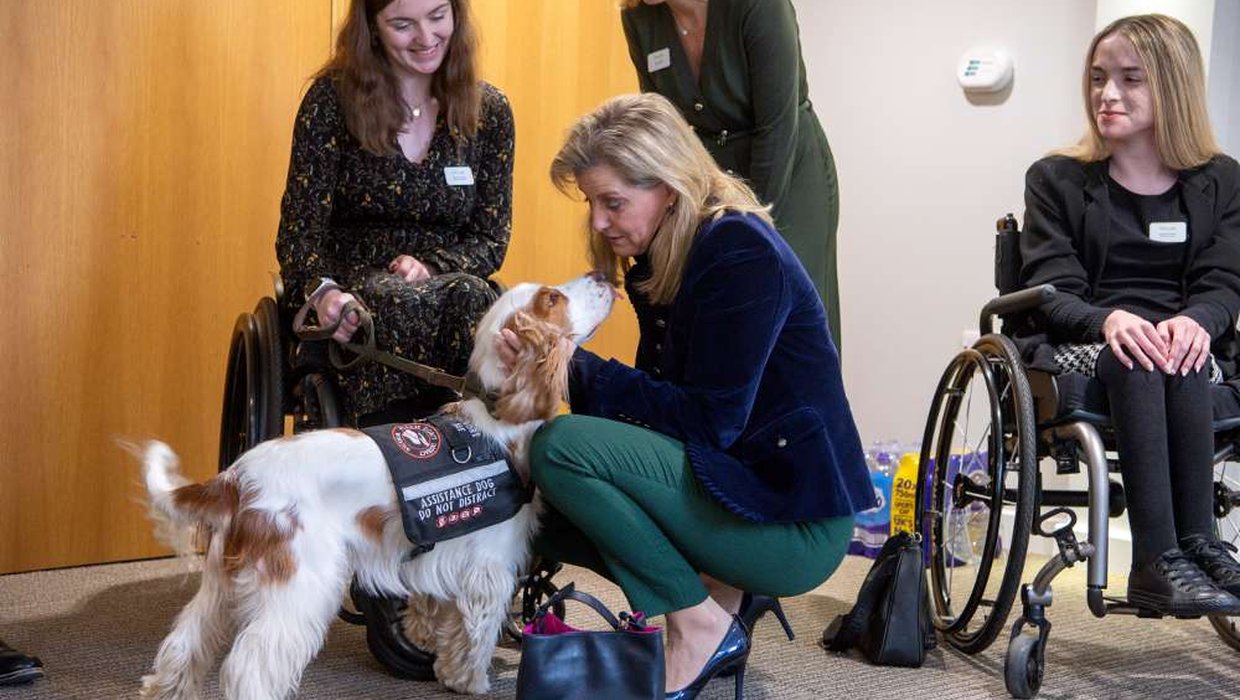 HRH bending down to stroke a white and brown spaniel dog as its owner looks on smiling