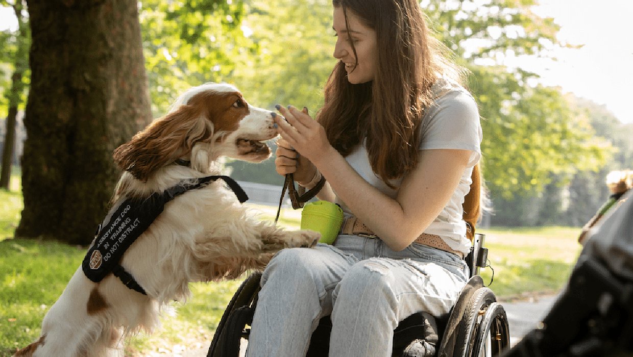 Ella outside in the park with Moose. He has his front paws on her knees and is getting a treat. Ella is smiling at him.
