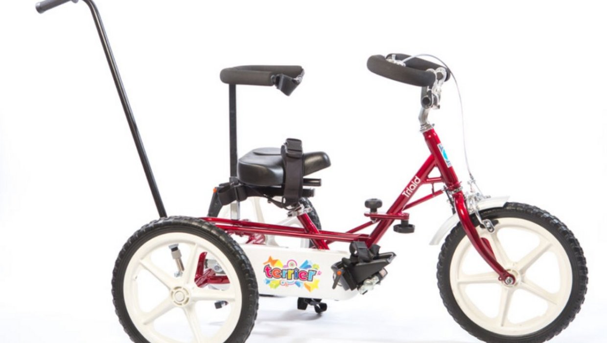 Theraplay Terrier Trike